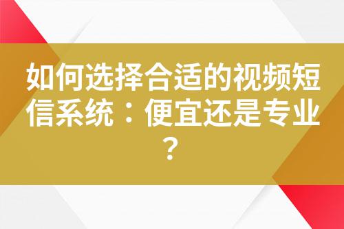 如何選擇合適的視頻短信系統：便宜還是專業？