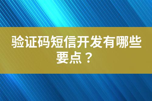 驗證碼短信開發(fā)有哪些要點？